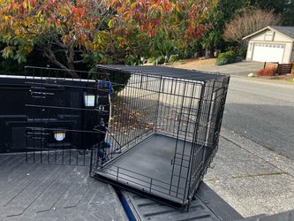 Large Medium Dog Kennel Crate Collapsible in Good Condition 36” L by W 22” H “24