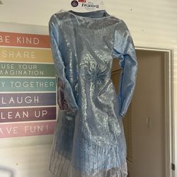 Elsa costume