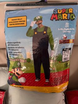 Luigi Men’s Costume