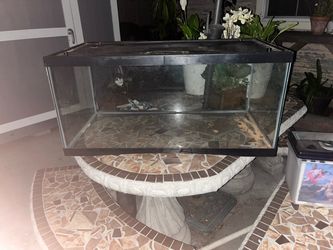 Glass Aquarium Tank with Black Frame