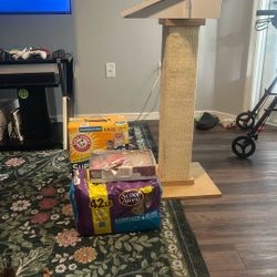 Cat Stuff