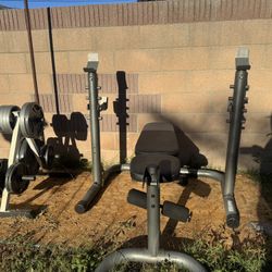 Weight Bench, Olympic bar, Weights And Weight Tree 
