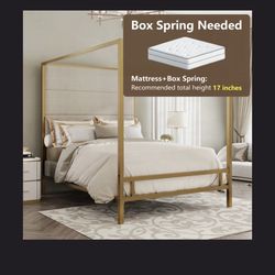 Bed And Mattress Available