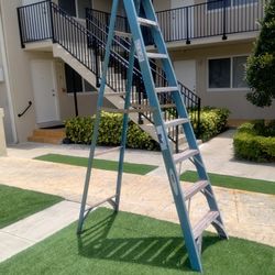 Ladder Fiberglass 8 Ft $80