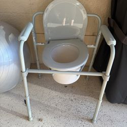 Potty Chair