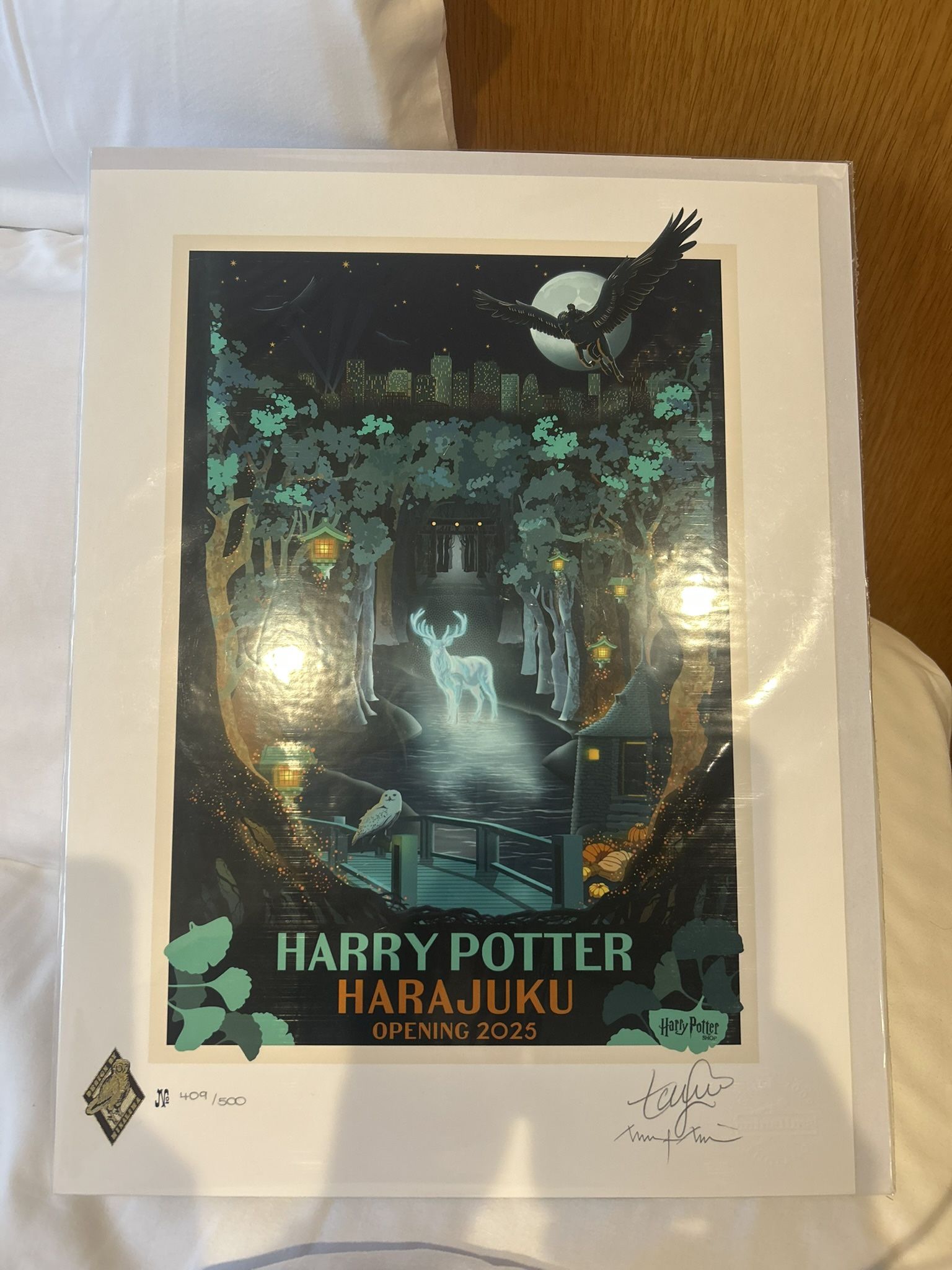 Limited Edition Harry Potter Art