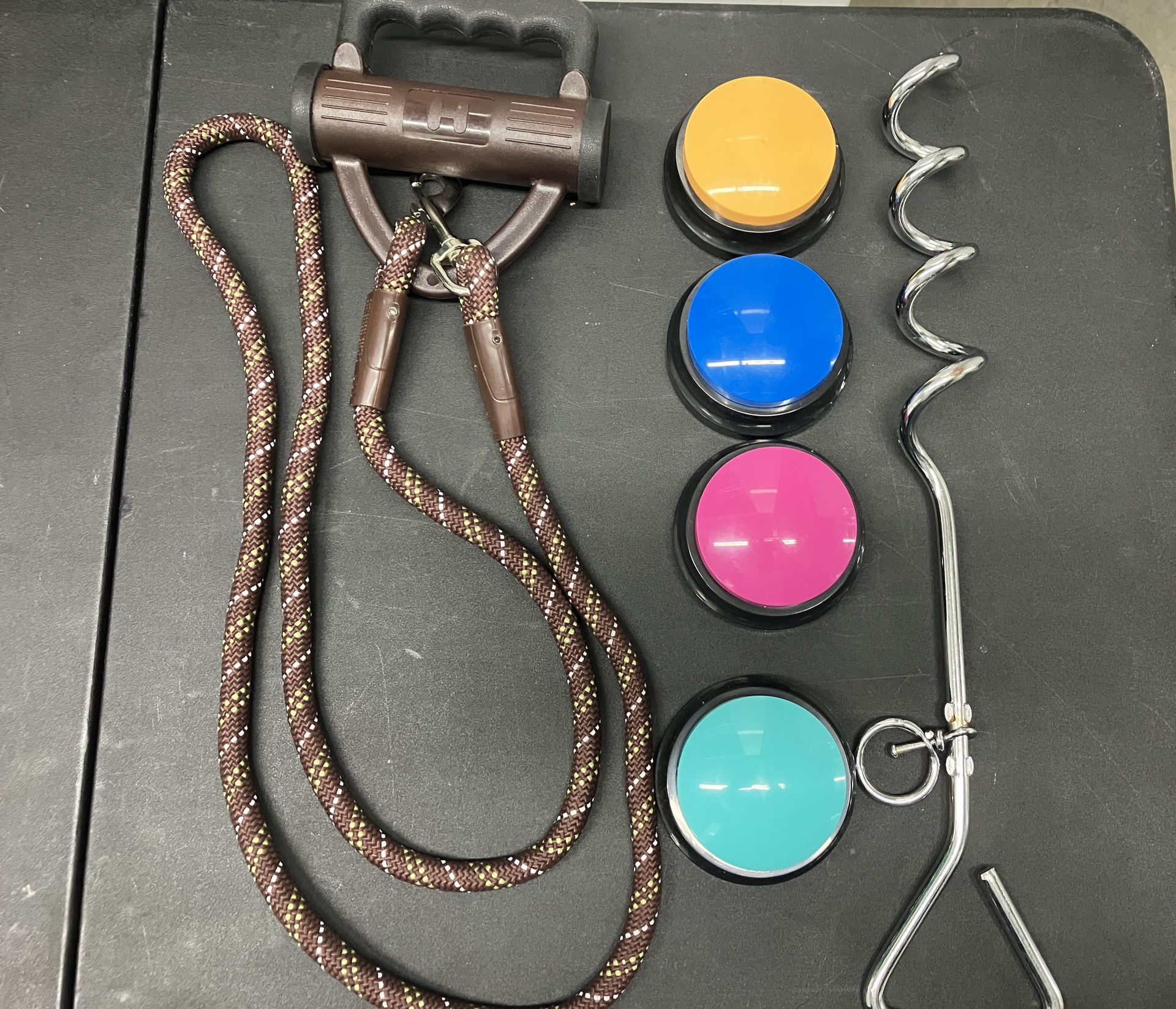 Dog Training Set With Buttons And Stake