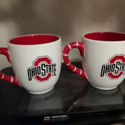 Set Of Two Ohio State Scarlet And Gray Brutus Buckeye Coffee Mugs