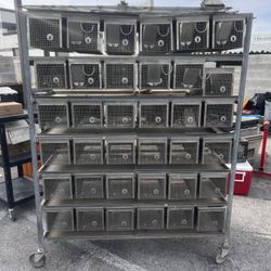 Breeding Rack For Mice Or Rats 