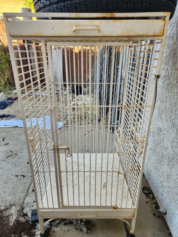 Bird Cage