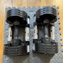 Core Fitness Adjustable Dumbells (Like New!)