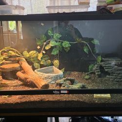 Reptile Enclosure