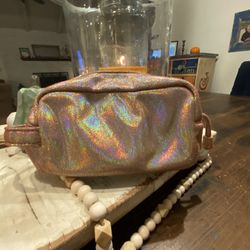 Wild Fable Bag Pink Sparkly Makeup/ Skincare Bag