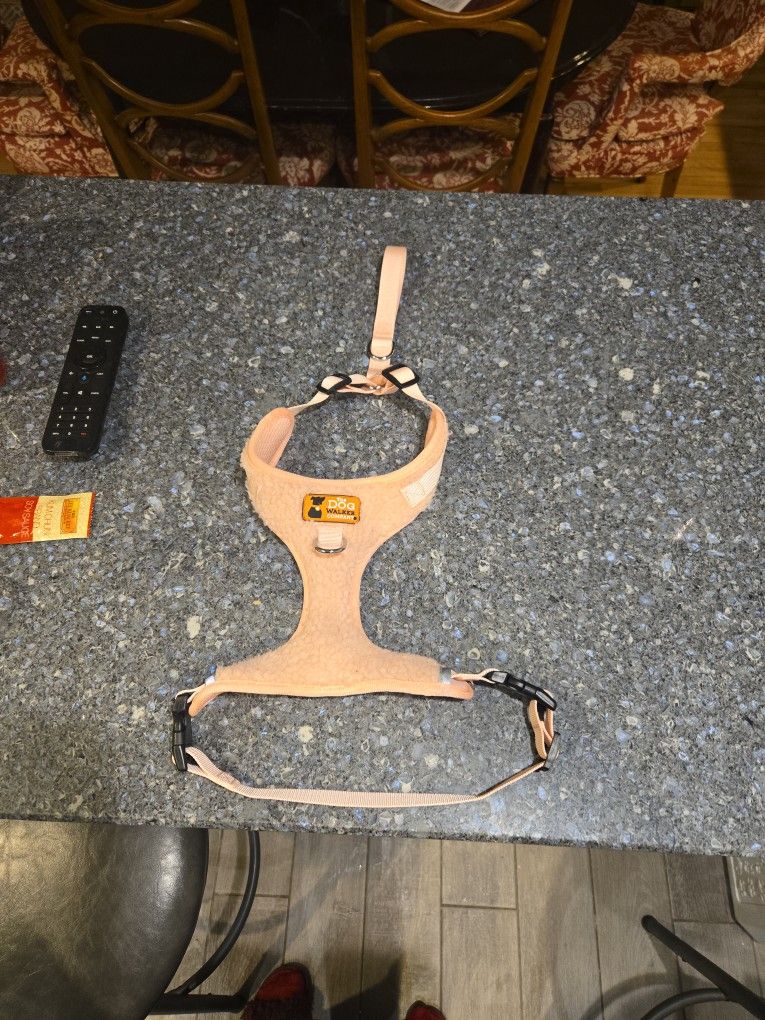 Pet Accessories
