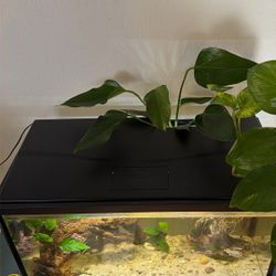Aquarium Hood With Light