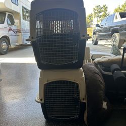 3 Dog Kennels