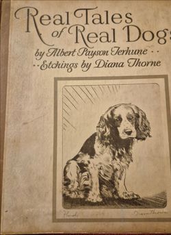 Antique Children's Books Bundle