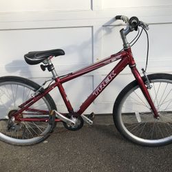 Trek Bike