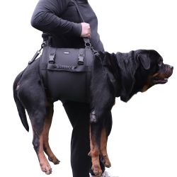 Dog Carry Sling