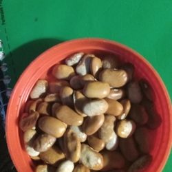 (20)  Blue Coco Pole Beans