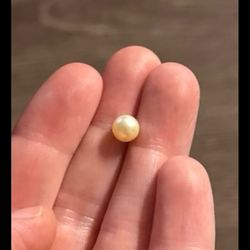Light cream color south sea pearl genuine loose Saltwater Gem