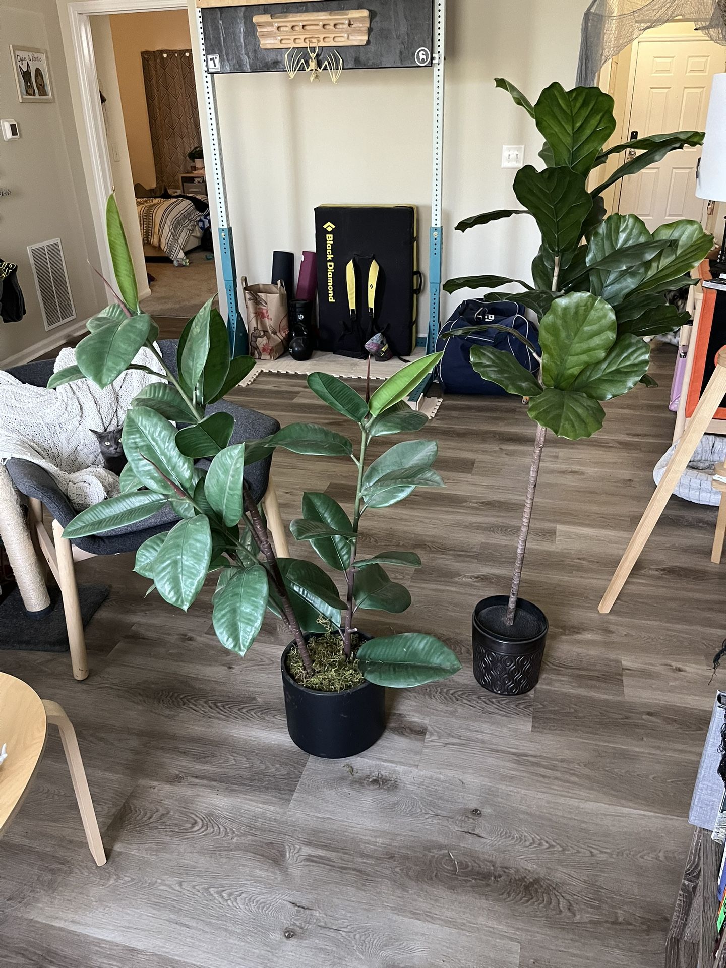 Two Large Fake Plants