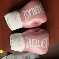 Everlast Elite Pro Style Training Gloves NEW