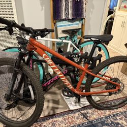 Women’s Specialized Rockhopper Elite, Sz. S