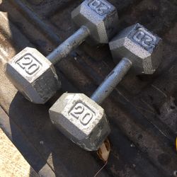 20 Lb  Dumbbells 