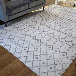 8x10 Area Rug