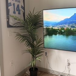 IKEA Plant