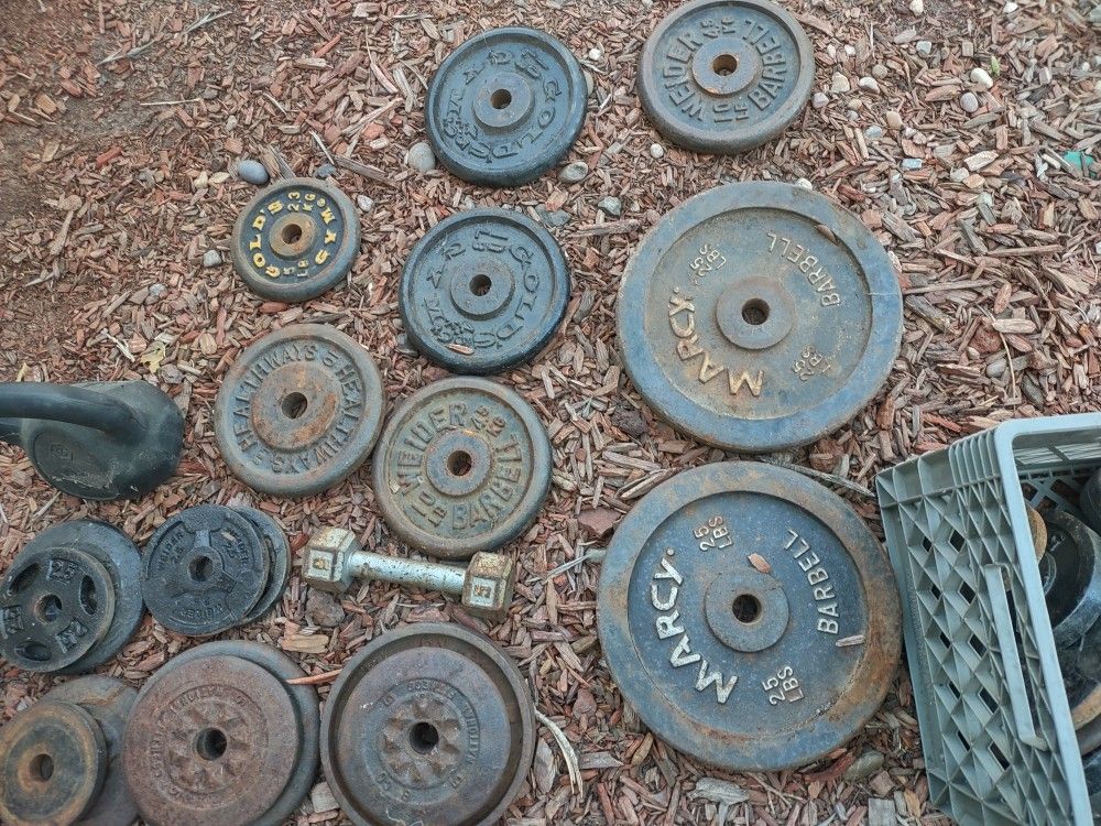 Weights 