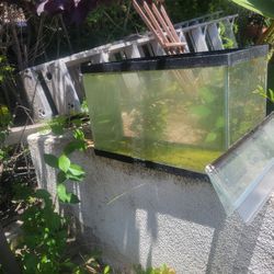 Small Fish Tank