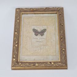 Butterfly print on vintage style frame