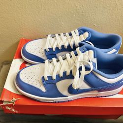 NIKE DUNKS LOW POLAR BLUE SZ9.5