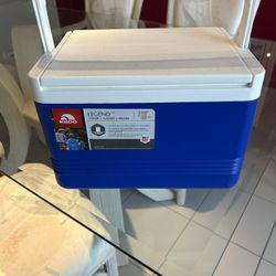 Small Igloo Cooler
