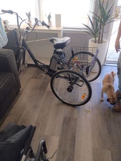 Electric trike