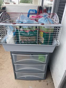 Guinea pig 🐹 cage and supplies