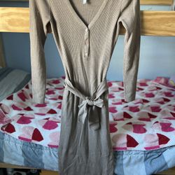 Aritzia Dress