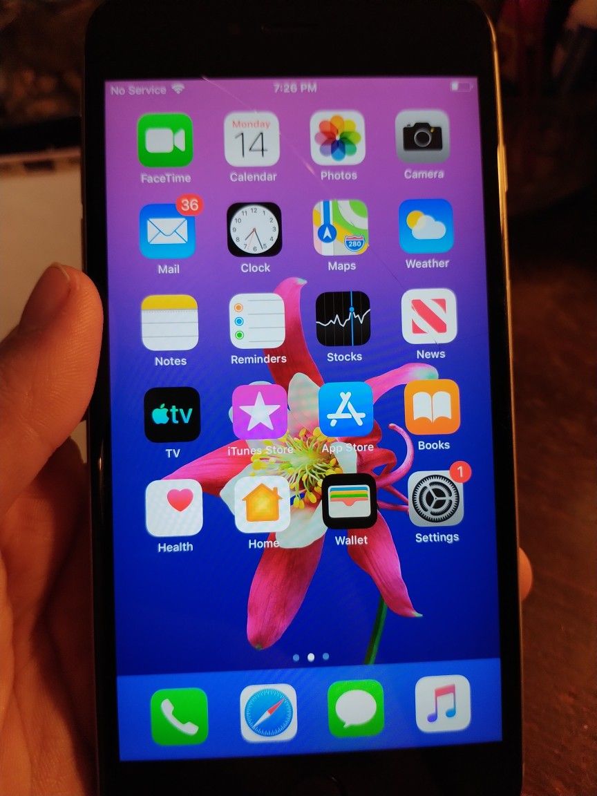 iPhone 6 Plus