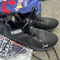 Brand New Pumas