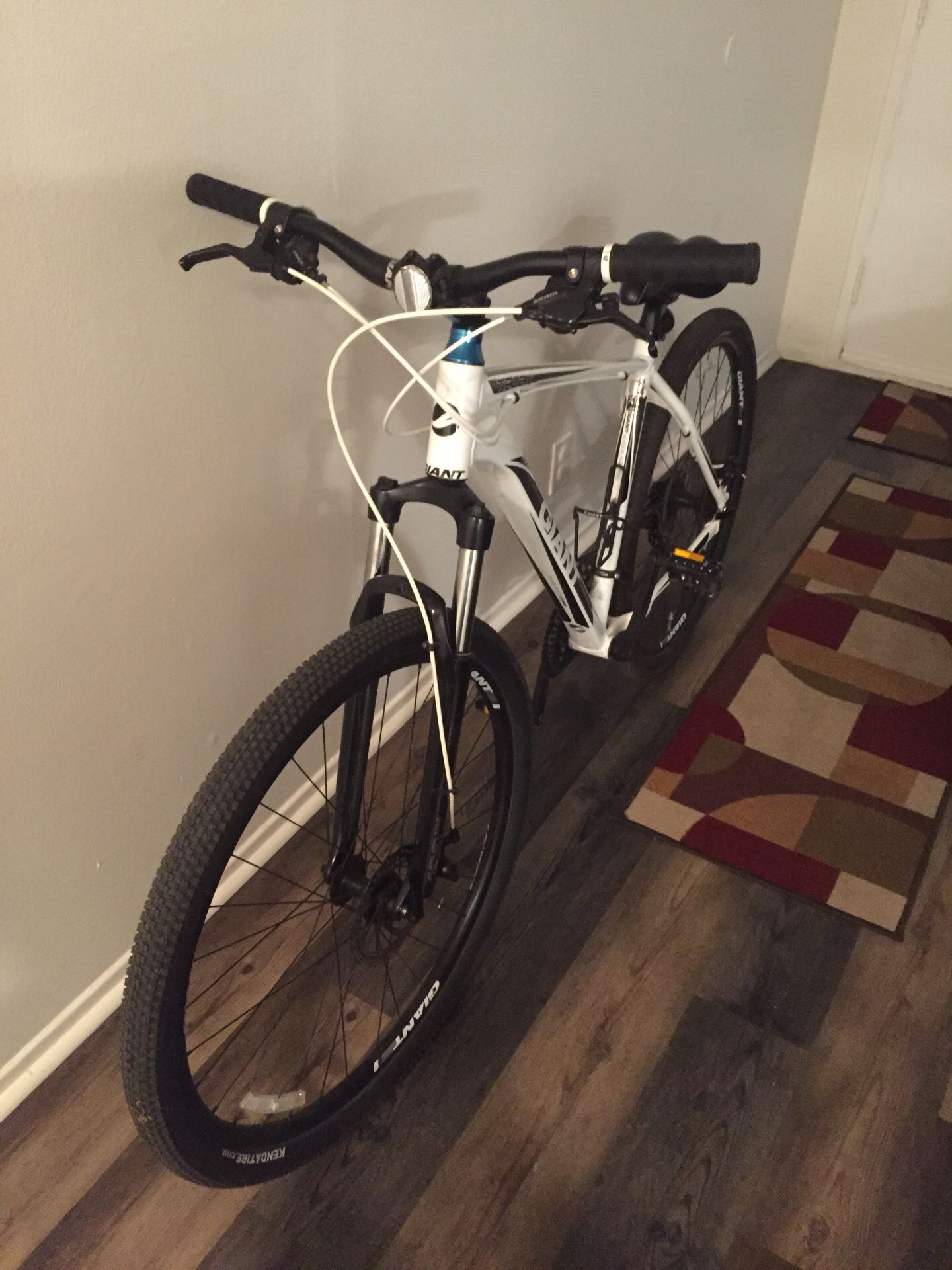 Talon Giant 2. Very good bike in and out