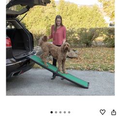 PET RAMP