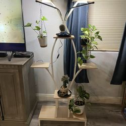Plant Stand With Grow Light