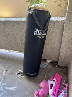 Everlast Punching Bag