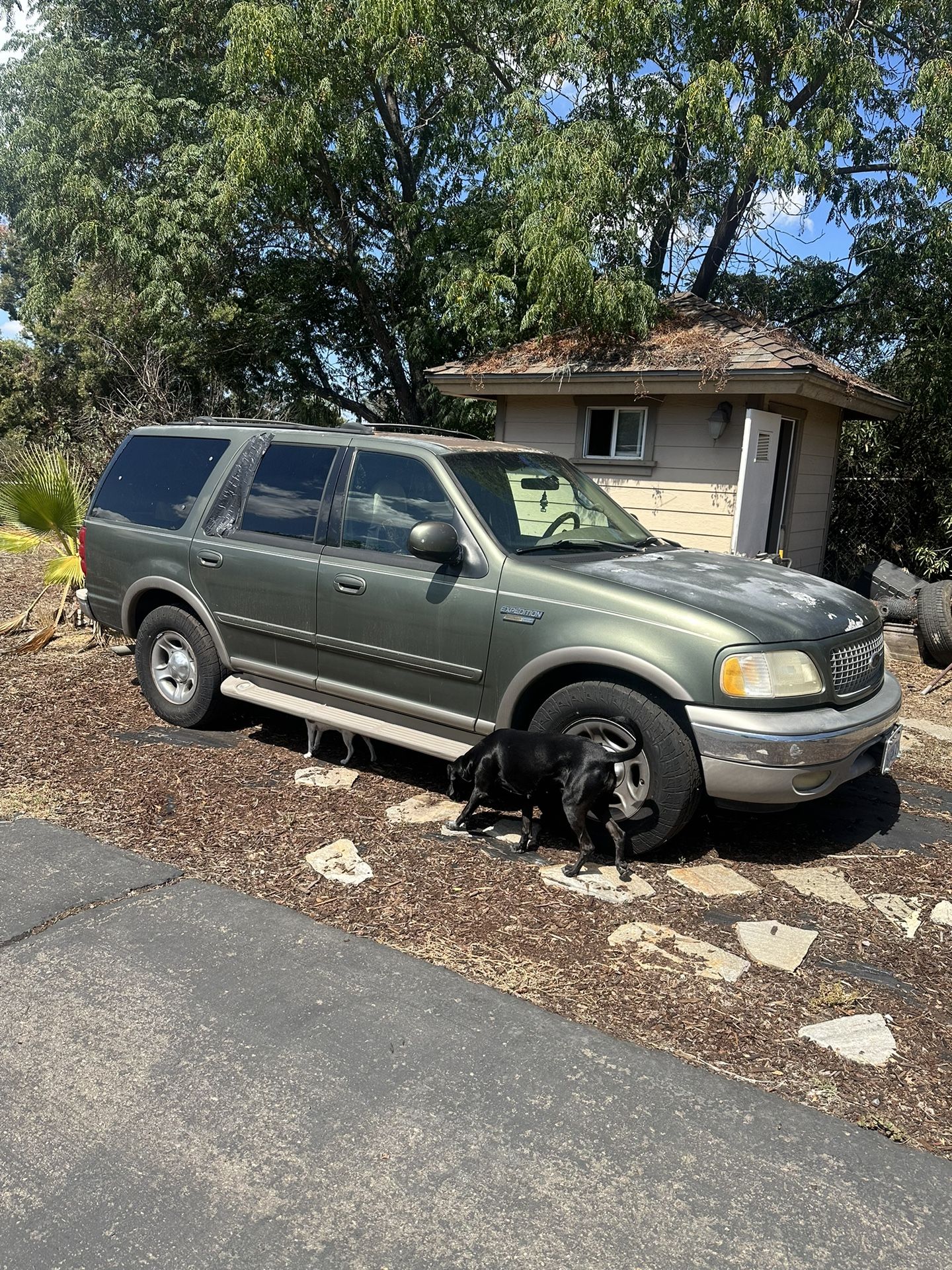 2001 Ford Expedition