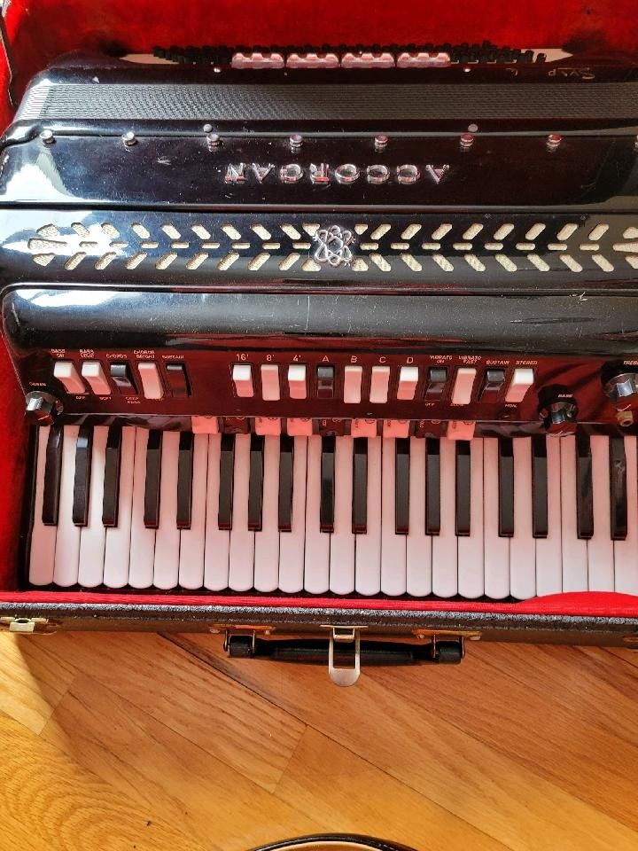 Accorgan Accordion 🪗
