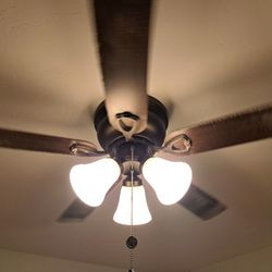 Flush Mount Ceiling Fan