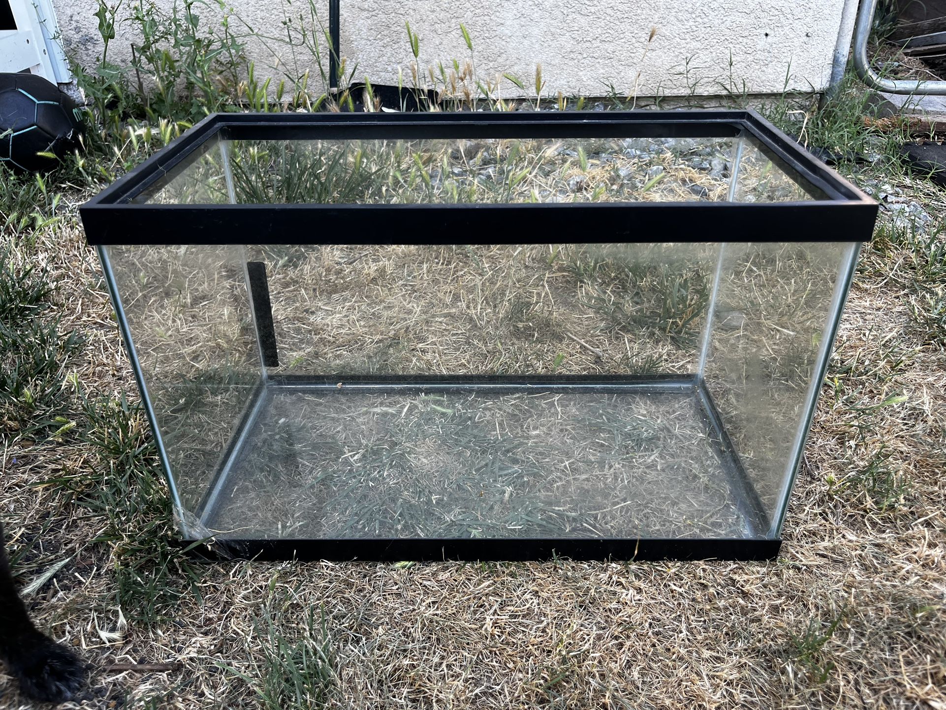 10 Gallon Fish Tank