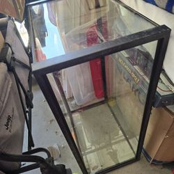 Fish Tank 
